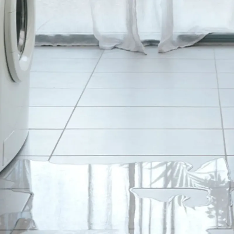 Appliance Leak Cleanup in Newport Beach, CA